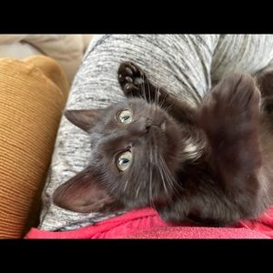 Meet your Posher, Tina